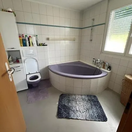 With Pool & Dream View Over Constance * Rorschacherberg