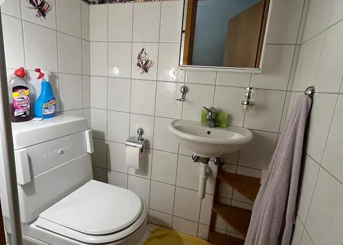 With Pool & Dream View Over Constance * Rorschacherberg